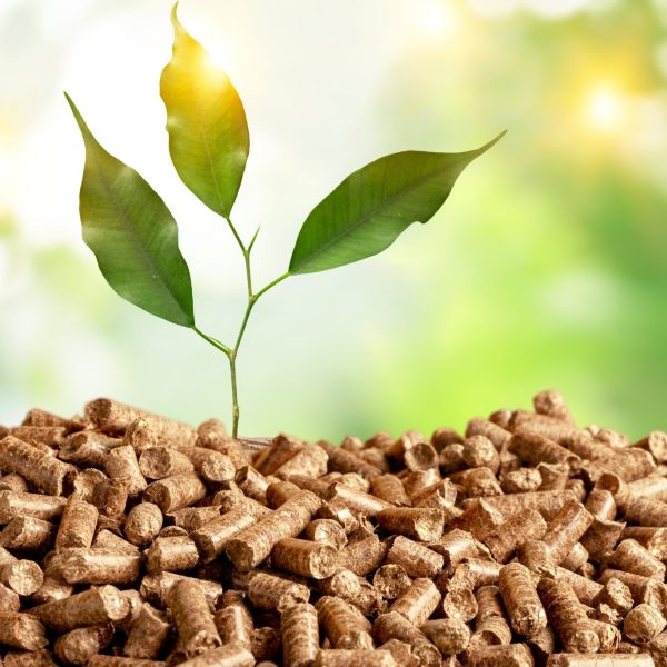 Marchan Serveis - Energies renovables